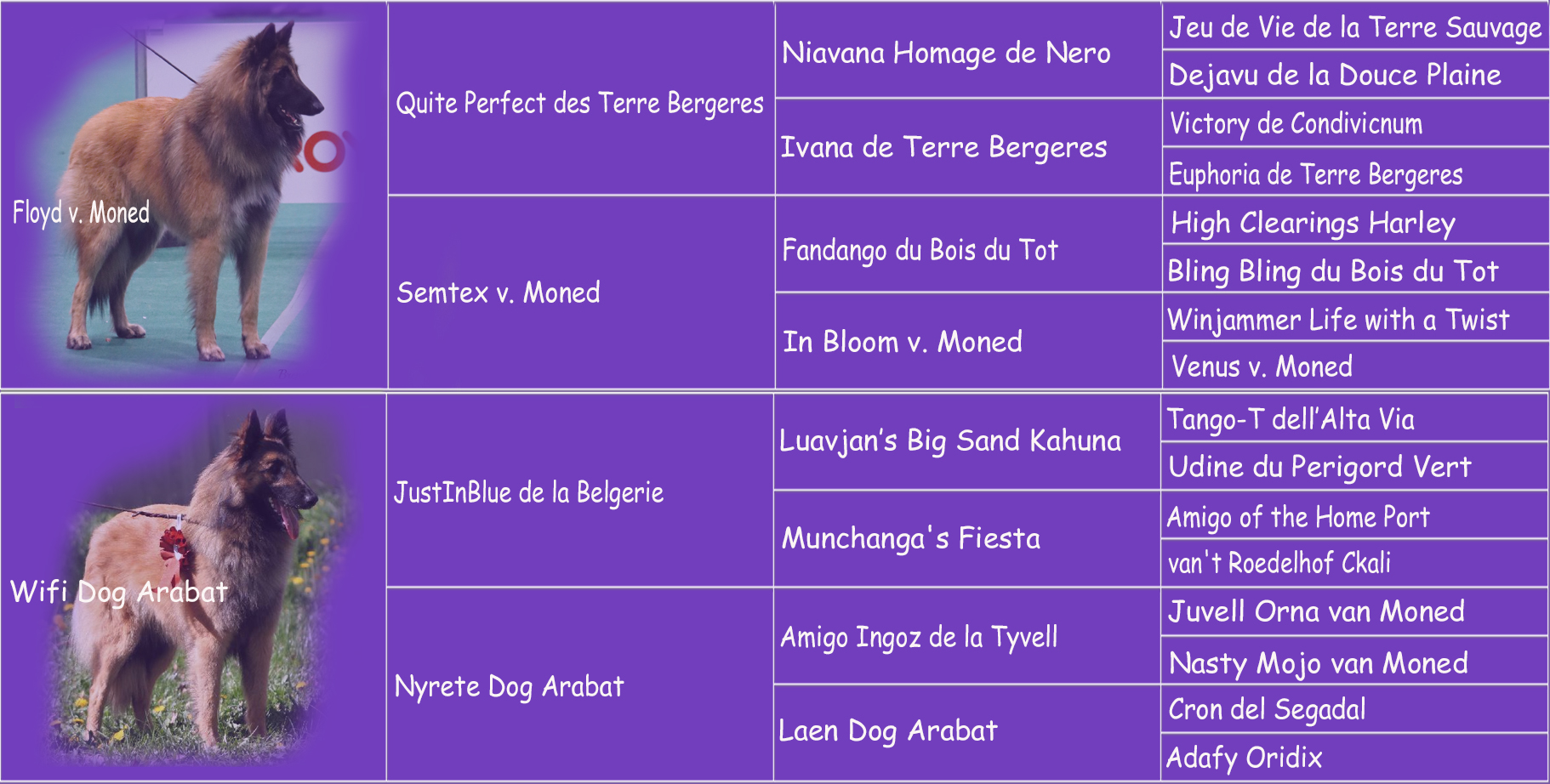Fanko pedigree